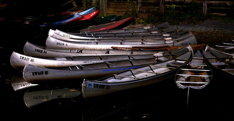 Canoes and Kayaks, Autumn. Photograph by Dan Mangan