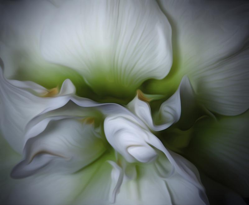 Vanilla and Mint Swirl