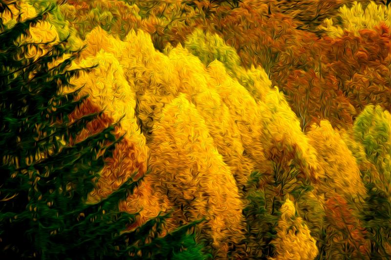 Flaming October, Appalachian Foothills. Photograph by Dan Mangan