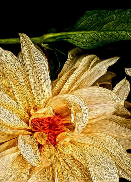 Yellow Dahlia and Leaf