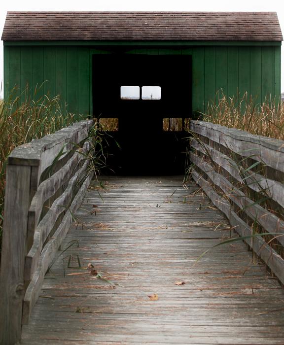 Duck Blind, Blackwater