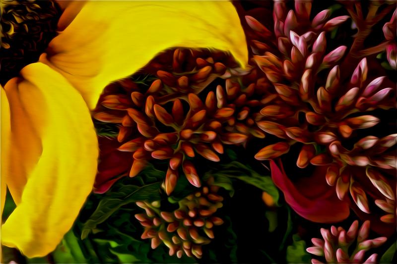Study in Yellow and Magenta