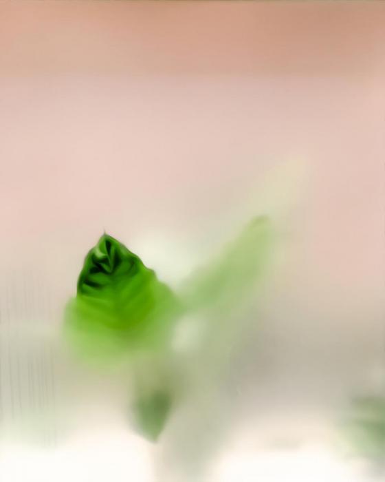 Vapor. Photograph by Dan Mangan
