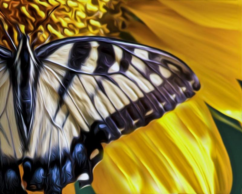 Papillon I