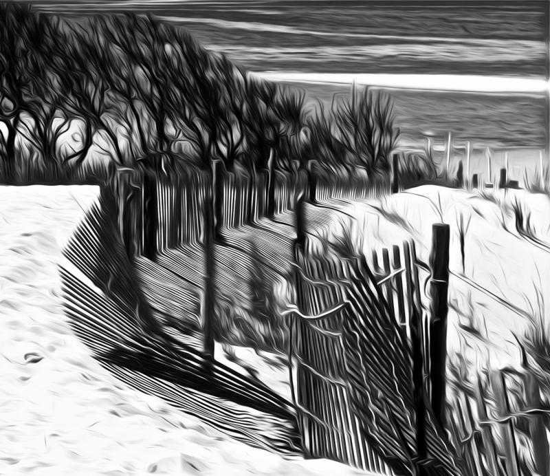 Dune Fence, Cape Henlopen