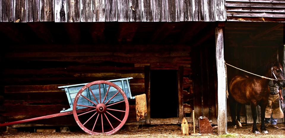 Blue Jaunting Cart, Bay Mare. Photograph by Dan Mangan